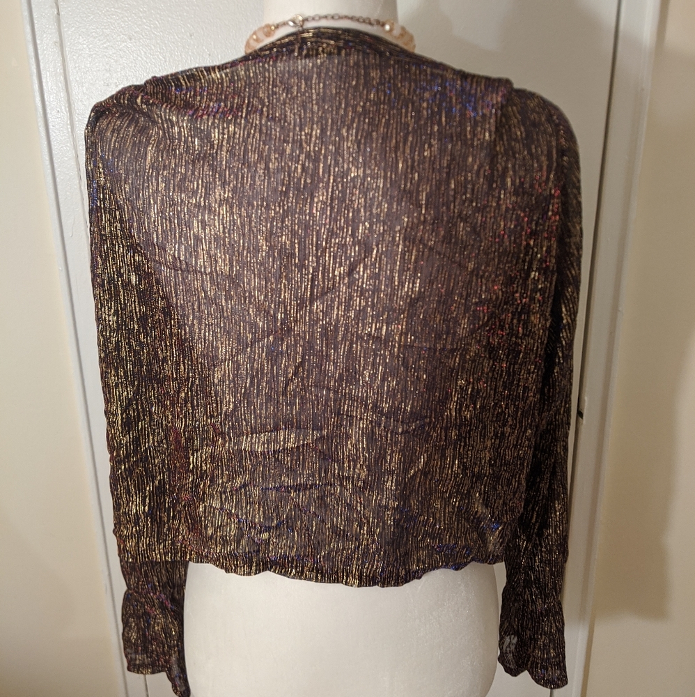 ZARA Sheer Gold Metallic Crop Top - Picture 6 of 6